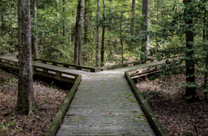 Overcoming Differences – Meeting Karma The Sacrament of the Human Encounter
